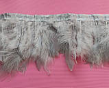 Пір'яна тасьма з пір'я лебедя. Колір Світло Сірий. Перо 10-17 см. Ціна за 0,5 м., фото 4