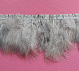 Пір'яна тасьма з пір'я лебедя. Колір Світло Сірий. Перо 10-17 см. Ціна за 0,5 м., фото 5