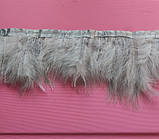Пір'яна тасьма з пір'я лебедя. Колір Світло Сірий. Перо 10-17 см. Ціна за 0,5 м., фото 7