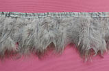 Пір'яна тасьма з пір'я лебедя. Колір Світло Сірий. Перо 10-17 см. Ціна за 0,5 м., фото 8