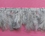 Пір'яна тасьма з пір'я лебедя. Колір Світло Сірий. Перо 10-17 см. Ціна за 0,5 м., фото 9