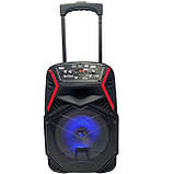 Портативна акустична система з караоке мікрофоном Winso-OTY895-8"x1 Bluetooth колонка з RGB-стерео, фото 8