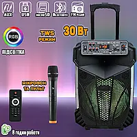 Портативна акустична система з мікрофоном AwCrowns CH1201-12"х1 Bluetooth з RGB 30W, стерео