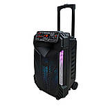 Портативна акустична система з мікрофоном AwCrowns CH1201-12"х1 Bluetooth з RGB 30W, стерео, фото 11