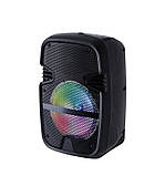 Портативна акустична система з караоке мікрофоном TWS-6008-8"x1 з RGB-підсвіткою 10W, стерео 360°, фото 7