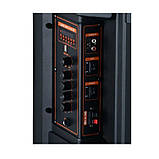 Портативна акустична система з караоке мікрофоном Winso GZ-8912-12"x1с RGB-підсвіткою 30W + Пульт, фото 3