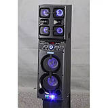 Портативна акустична система +2 караоке мікрофона Winso TD0655-6,5"х2 потужна100W + Пульт, фото 5