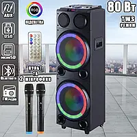 Потужна портативна акустична система +2 бездротові караоке мікрофона HANSUO HS-TD1020-10"х2 80ВТ