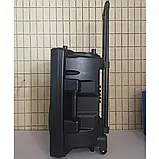 Професійна акустична система з караоке мікрофоном Winso NDR-12-12"x1 з RGB + Пульт, фото 4