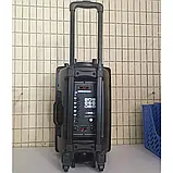 Професійна акустична система з караоке мікрофоном Winso NDR-12-12"x1 з RGB + Пульт, фото 7