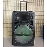 Професійна акустична система з караоке мікрофоном Winso NDR-12-12"x1 з RGB + Пульт, фото 8