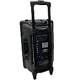 Професійна акустична система з караоке мікрофоном Winso NDR-12-12"x1 з RGB + Пульт, фото 9
