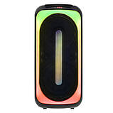 Професійна акустична система з караоке мікрофоном Winso MD4-0808-8"x2 RGB 40W + Пульт, фото 6