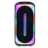 Професійна акустична система з караоке мікрофоном Winso MD4-0808-8"x2 RGB 40W + Пульт, фото 8