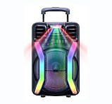 Портативна акустична система з караоке мікрофоном HANSUO TS12H8 колонка з RGB-підсвіткою, фото 5