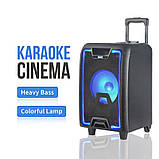 Професійна акустична система з караоке мікрофоном Winso NDR-2010 -10"x1 RGB + Пульт, фото 9