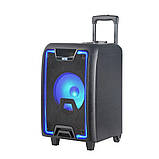 Професійна акустична система з караоке мікрофоном Winso NDR-2010 -10"x1 RGB + Пульт, фото 10