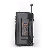 Портативна акустична стереосистема з караоке мікрофоном Winso NDR-Q08 10 W Bluetooth колонка, фото 3