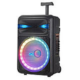 Портативна акустична стереосистема з караоке мікрофоном Winso NDR-Q08 10 W Bluetooth колонка, фото 5
