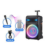 Портативна акустична стереосистема з караоке мікрофоном Winso NDR-Q08 10 W Bluetooth колонка, фото 7