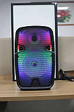Портативна акустична система + мікрофон Winso OTY809-8"x1 дюймів 10 W Bluetooth колонка з RGB + Пульт, фото 6