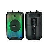 Портативна акустична система з караоке мікрофоном Winso RX-6168-6,5"x1 з RGB-підсвіткою 10W, фото 3