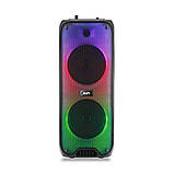 Портативна акустична система з мікрофоном RX-6258-6,5"x2 колонка з RGB-підсвіткою 10W + Пульт, фото 6