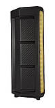 Портативна акустична система з мікрофоном RX-6238-6,5"x2 + tweeter Bluetooth колонка 30 W + Пульт, фото 6