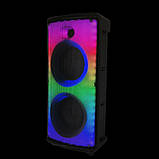 Портативна акустична система з мікрофоном RX-6238-6,5"x2 + tweeter Bluetooth колонка 30 W + Пульт, фото 8