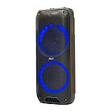 Портативна акустична система з караоке мікрофоном Winso RX-8250В-8"x2 з RGB-підсвіткою 20 W + Пульт, фото 5