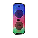 Портативна акустична система з караоке мікрофоном Winso RX-8252-8"x2 з RGB-підсвіткою 20W + Пульт, фото 4