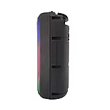 Портативна акустична система з караоке мікрофоном Winso RX-8250-8"x2 з RGB-підсвіткою 20W + Пульт, фото 3