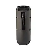 Портативна акустична система з караоке мікрофоном Winso RX-8250-8"x2 з RGB-підсвіткою 20W + Пульт, фото 4