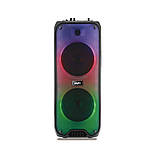 Портативна акустична система з караоке мікрофоном Winso RX-8250-8"x2 з RGB-підсвіткою 20W + Пульт, фото 5
