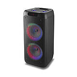 Потужна акустична система з караоке мікрофоном RX-8281-8"x2 Bluetooth колонка 40W-4000mAh + Пульт, фото 7
