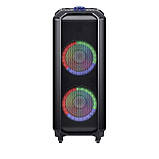 Професійна акустична система з караоке мікрофоном 2 шт HANSUO TD1010-10"х2 80 W + Пульт, фото 4