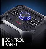 Професійна акустична система з караоке мікрофоном 2 шт HANSUO TD1010-10"х2 80 W + Пульт, фото 5