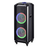 Професійна акустична система з караоке мікрофоном 2 шт HANSUO TD1010-10"х2 80 W + Пульт, фото 7
