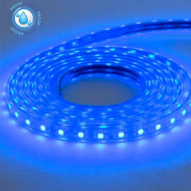 Уличная Led Лента SMD5050 Horoz 220V IP65 синяя фото