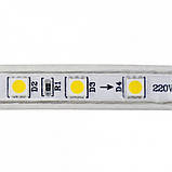 Світлодіодна Стрічка SMD5050 Horoz AMAZON RGB 12 V IP20, фото 2