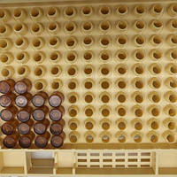 Система для виведення бджолиних маток Nicot на 110 комірок, фото 5