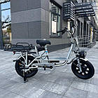 Електровелосипед MINAKO Monster 16" Chrome (модель 2023 року), Хром, хром, фото 5