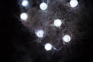 Світлодіодна гірлянда 20 LED 2 м Arts Pine мідний дріт від батарейок форма кулі 8 режимів Білий (VK-4371), фото 2