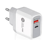 Мережевий зарядний пристрій (блок живлення) + швидке заряджання PD001 Type-C 18W