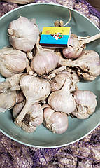 Озимий Часник Любаша, 1 кг