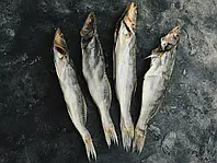 Судак мляв потрошений