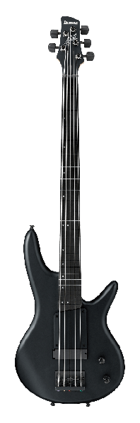 Ibanez gwb35 2024