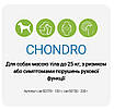Canvit Chondro cat Канвит Хондро для котов 100г, фото 2