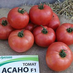 Насіння томату Асано F1, 10 шт— індетермінантний, ранній, рожевий, Kitano Seeds, дійсний до 2024 року, УЦІНКА
