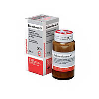 Endomethasone N порошок 14 г